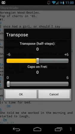 Screenshot of Chord Reader offering to transpose or add a capo