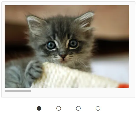 Screenshot of a carousel containing an image of a cat with indicator buttons below showing 1 filled circle and 3 unfilled circles